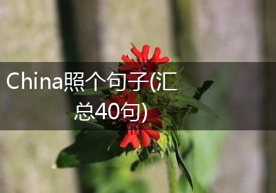 China照个句子(汇总40句)