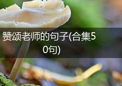 赞颂老师的句子(合集50句)