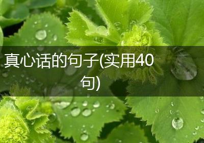 真心话的句子(实用40句)