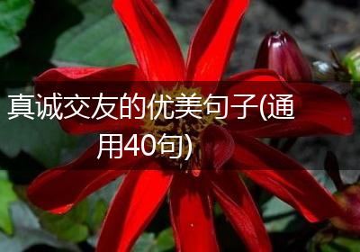 真诚交友的优美句子(通用40句)