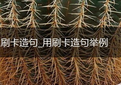 刷卡造句_用刷卡造句举例
