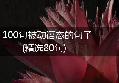 100句被动语态的句子(精选80句)