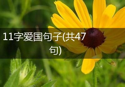 11字爱国句子(共47句)