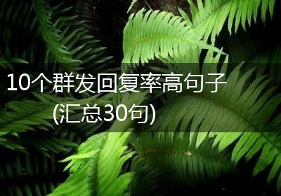 10个群发回复率高句子(汇总30句)