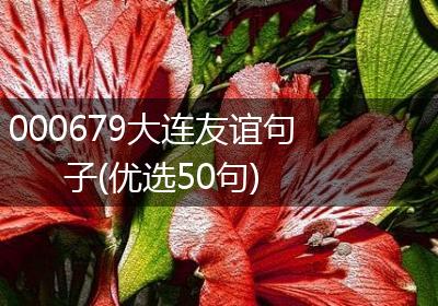 000679大连友谊句子(优选50句)