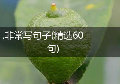 .非常写句子(精选60句)