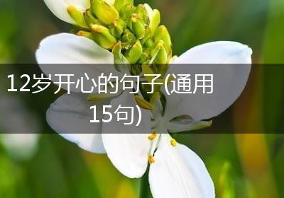 12岁开心的句子(通用15句)
