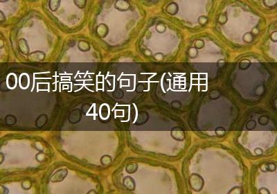 00后搞笑的句子(通用40句)
