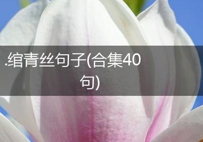 .绾青丝句子(合集40句)