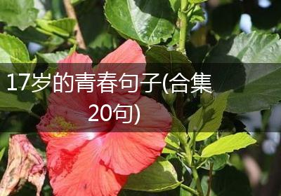 17岁的青春句子(合集20句)