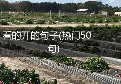 看的开的句子(热门50句)