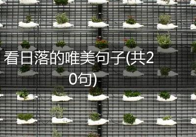 看日落的唯美句子(共20句)