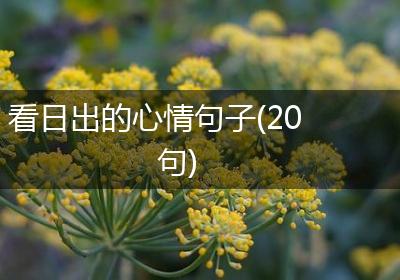 看日出的心情句子(20句)