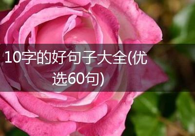 10字的好句子大全(优选60句)