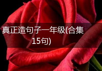 真正造句子一年级(合集15句)