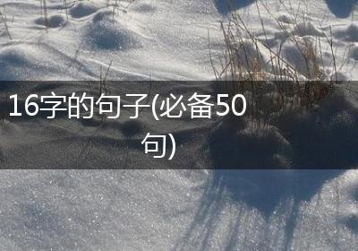 16字的句子(必备50句)