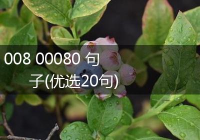 008 00080 句子(优选20句)