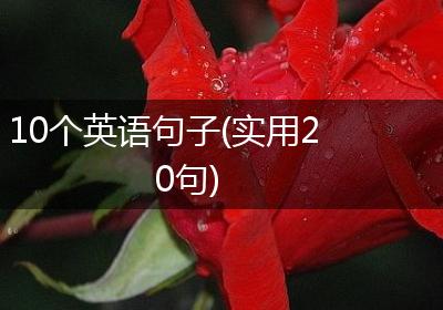 10个英语句子(实用20句)