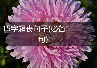 15字超丧句子(必备1句)