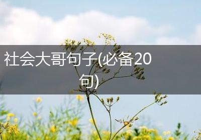 社会大哥句子(必备20句)