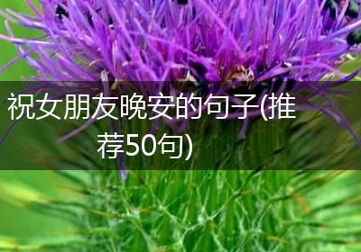 祝女朋友晚安的句子(推荐50句)