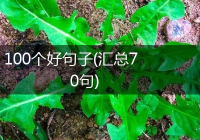 100个好句子(汇总70句)