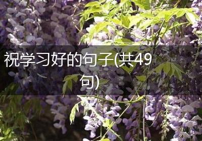 祝学习好的句子(共49句)