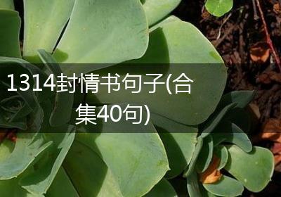 1314封情书句子(合集40句)