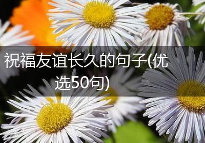 祝福友谊长久的句子(优选50句)