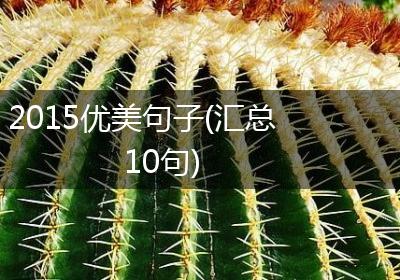 2015优美句子(汇总10句)