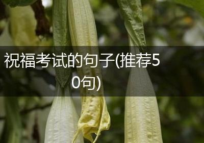 祝福考试的句子(推荐50句)