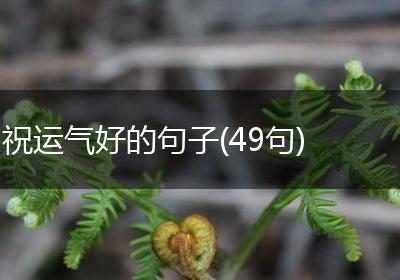 祝运气好的句子(49句)