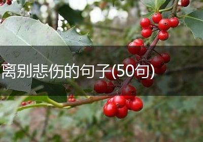 离别悲伤的句子(50句)