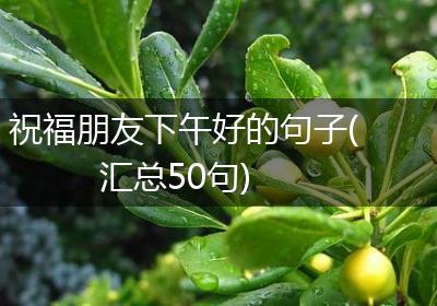 祝福朋友下午好的句子(汇总50句)