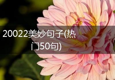 20022美妙句子(热门50句)