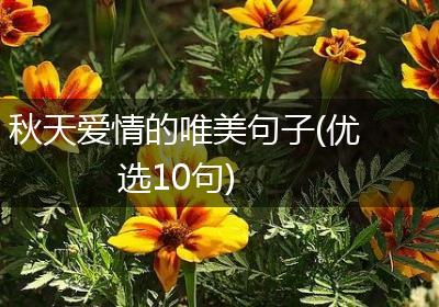 秋天爱情的唯美句子(优选10句)