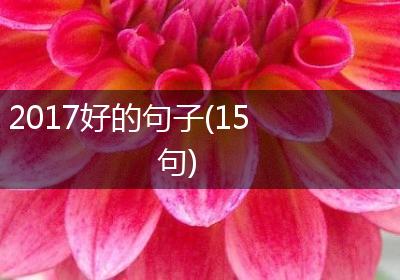 2017好的句子(15句)