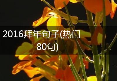 2016拜年句子(热门80句)