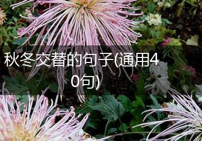 秋冬交替的句子(通用40句)