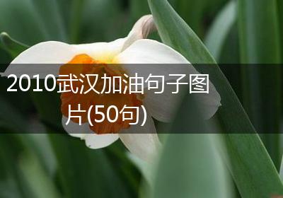 2010武汉加油句子图片(50句)