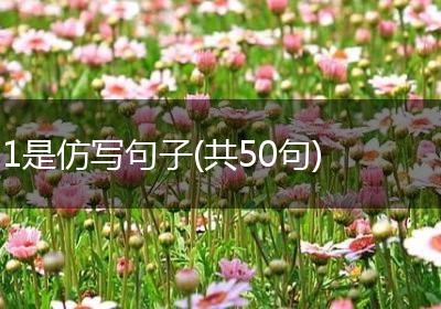 1是仿写句子(共50句)