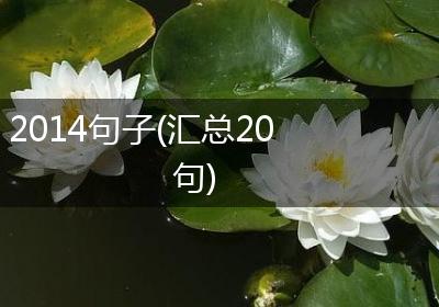 2014句子(汇总20句)