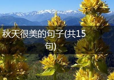 秋天很美的句子(共15句)