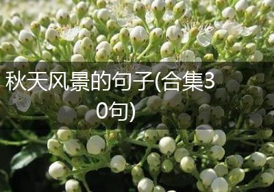 秋天风景的句子(合集30句)