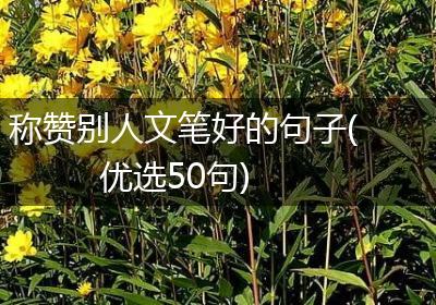 称赞别人文笔好的句子(优选50句)