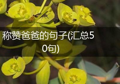 称赞爸爸的句子(汇总50句)