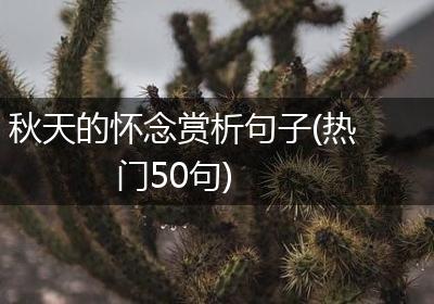 秋天的怀念赏析句子(热门50句)