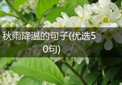 秋雨降温的句子(优选50句)