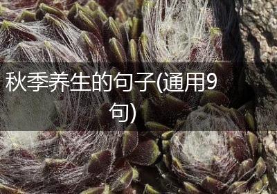 秋季养生的句子(通用9句)
