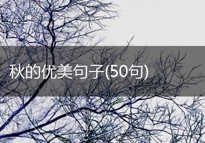 秋的优美句子(50句)